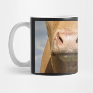 Moo Snout 3 Mug